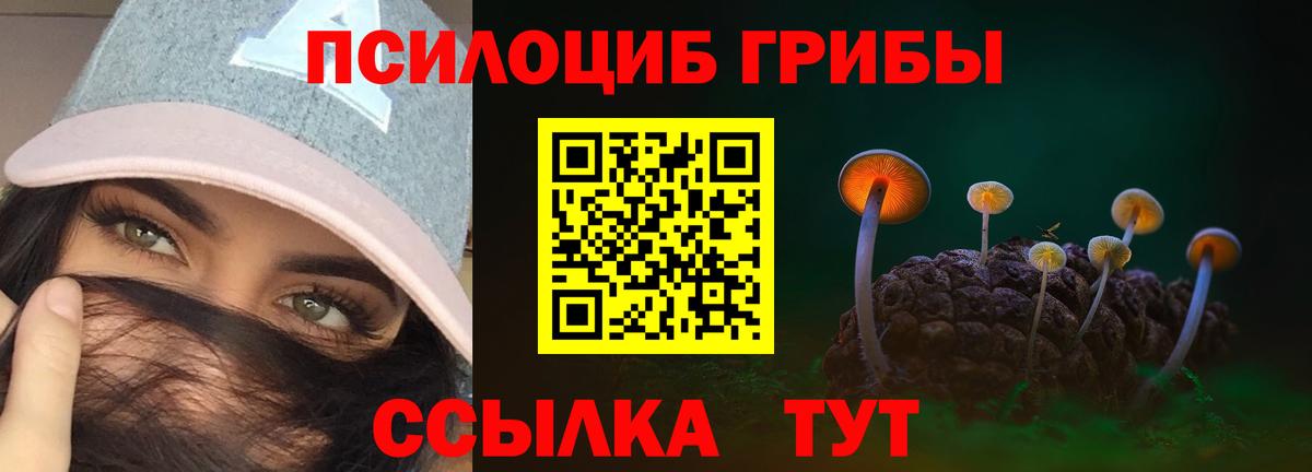 даркнет сайт  Вход с VPN  Уварово  Псилоцибиновые грибы Psilocybe 